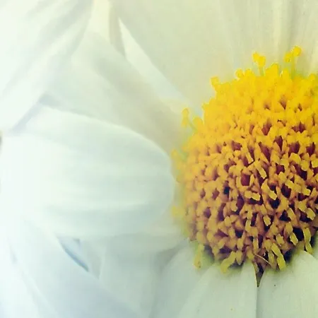 Strandbox - Mit Hund Lejlighed