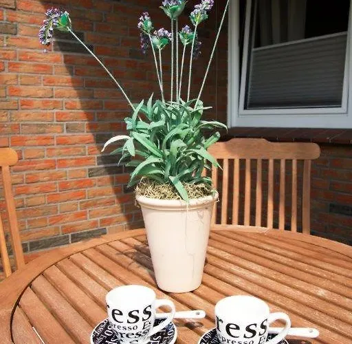 Strandbox - Mit Hund نورديش